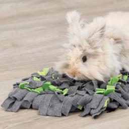 Aktivitets Snuse Tæppe Til Aktivering af Kanin